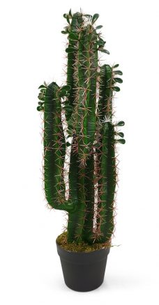 Namaak Cactus Osaka 76cm