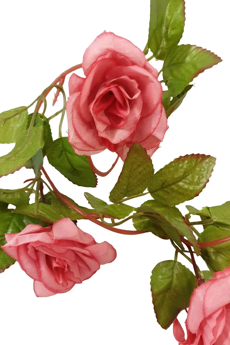 rozenslinger kopen bij Kunstpalm.nl