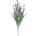 Kunst Lavendel