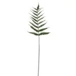 Kunst Varenblad 85cm