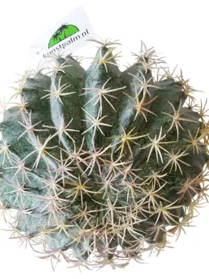 Kunst Bol Cactus 19cm