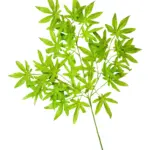 Kunst Esdoorn Takken 6x Lichtgroen 70cm