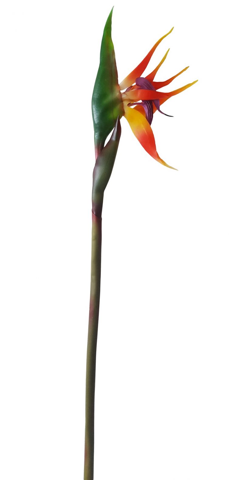 Kunst Paradijsvogelbloem 80cm