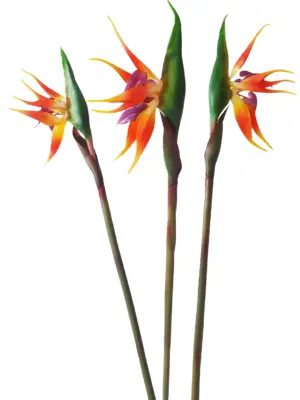Kunst Paradijsvogelbloem 80cm