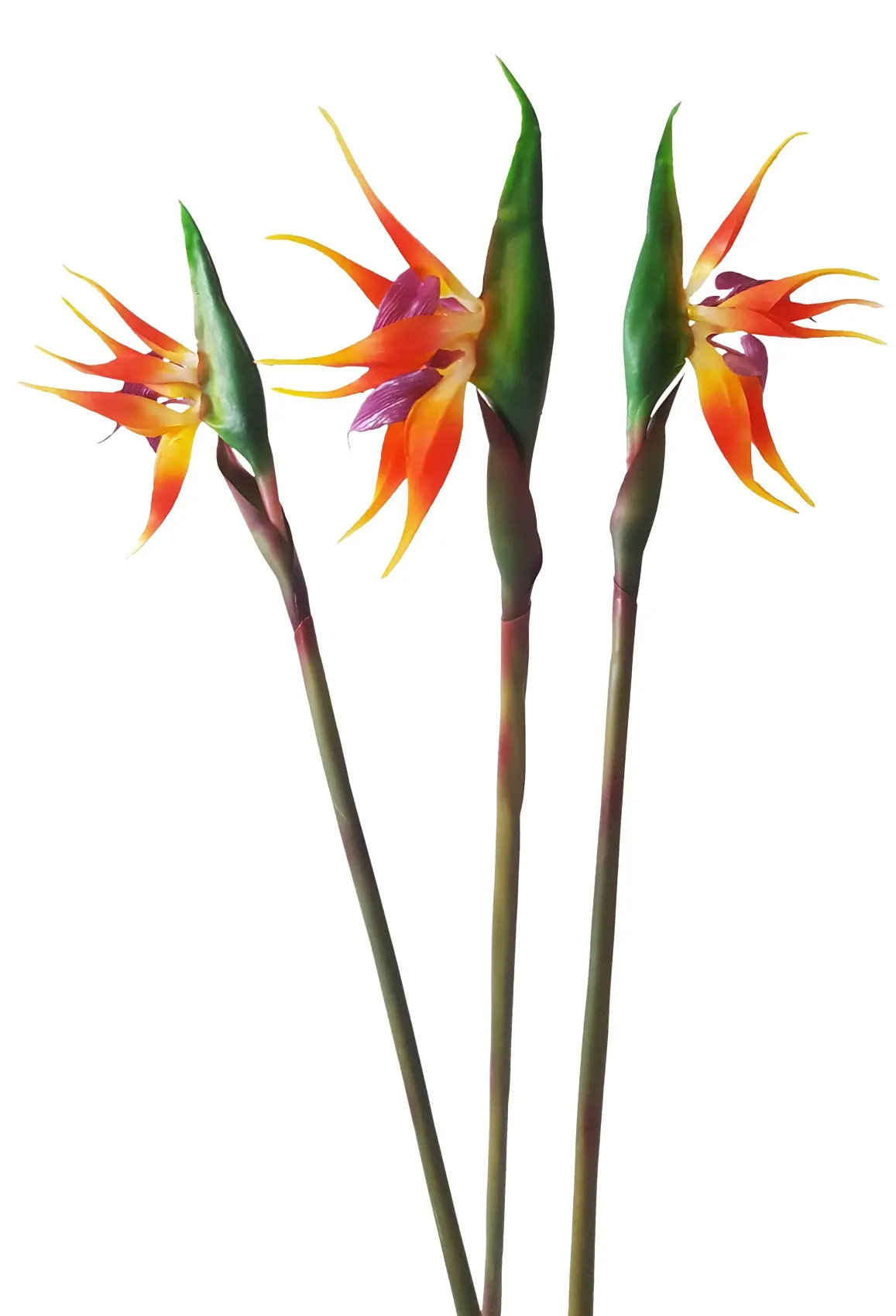 Kunst Paradijsvogelbloem 80cm