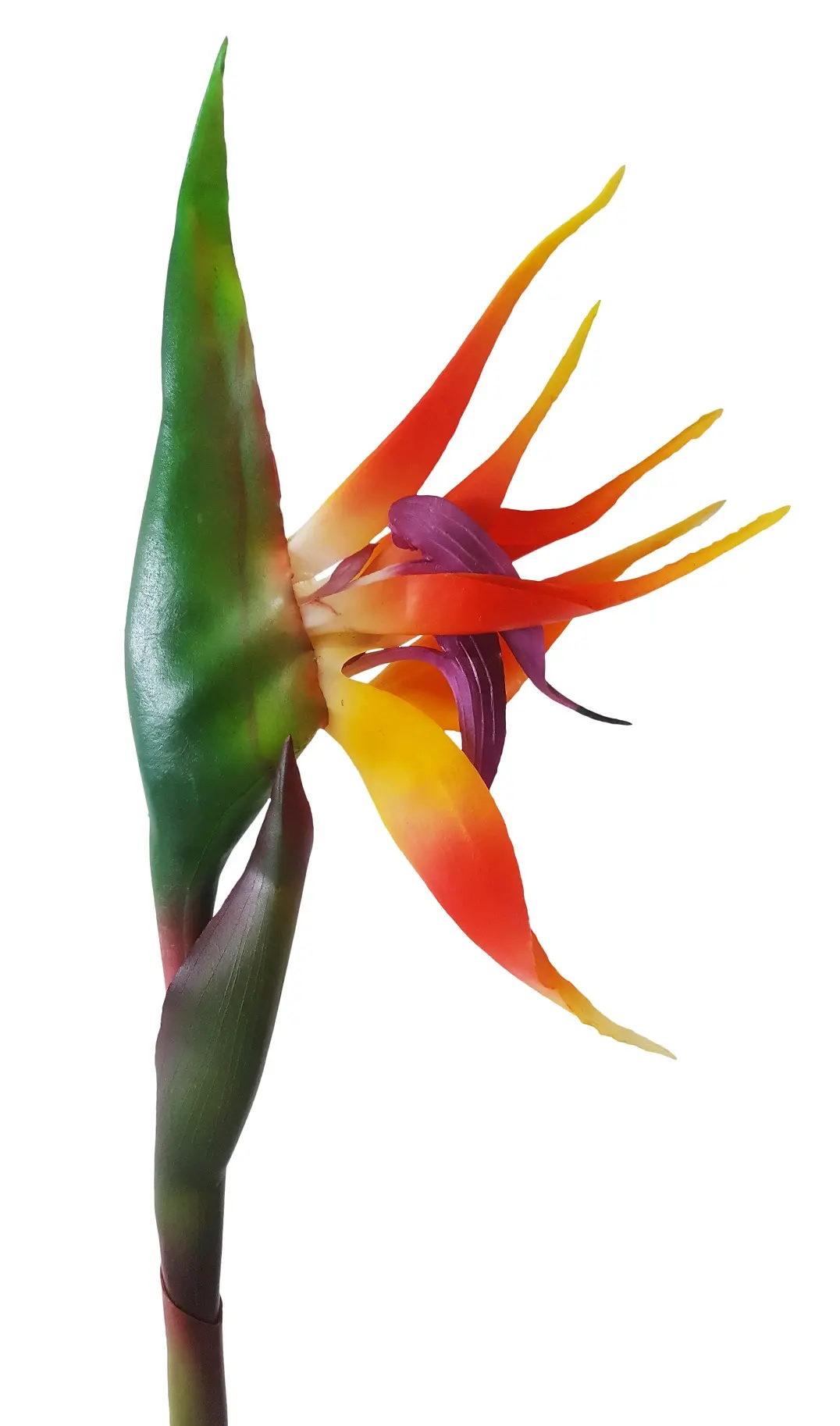 Kunst Paradijsvogelbloem 80cm