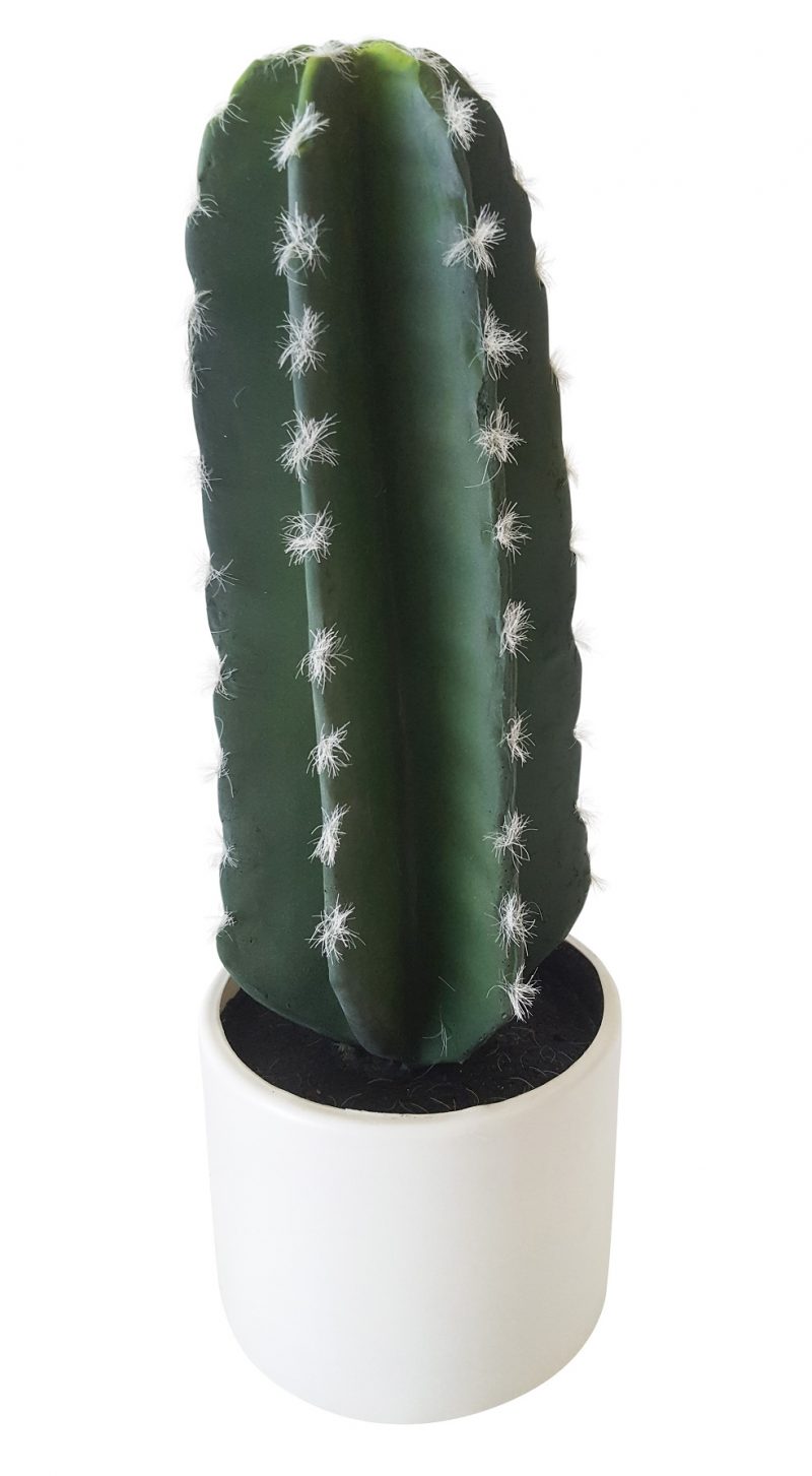 Kunstcactus Groen 35cm