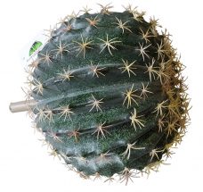 Namaak Cactus Bol 27cm