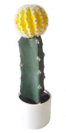 Nep Cactus met Gele Bol 38cm