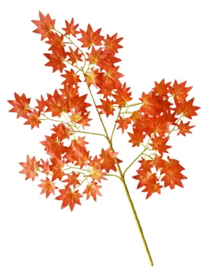 Esdoorn Neptakken Oranje-Geel set van 6 x 60cm.