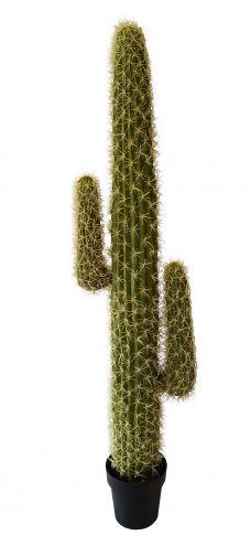 Namaak Cactus Nagano 145cm