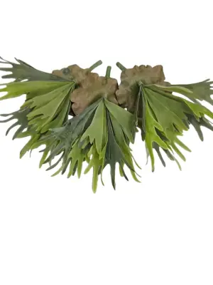 Namaak Hertshoorn 35cm