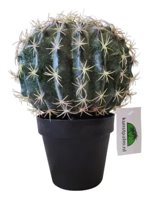 Kunst Cactusbol met Pot 26cm