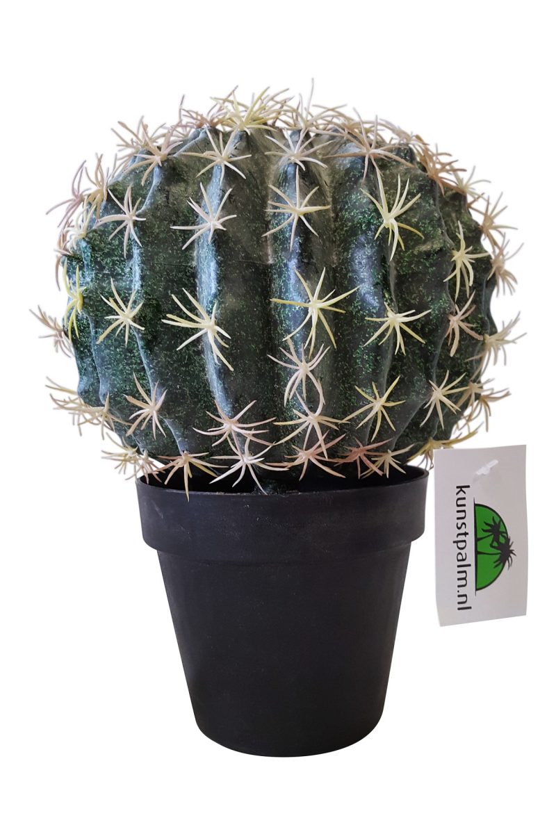 Kunst Cactusbol met Pot 26cm