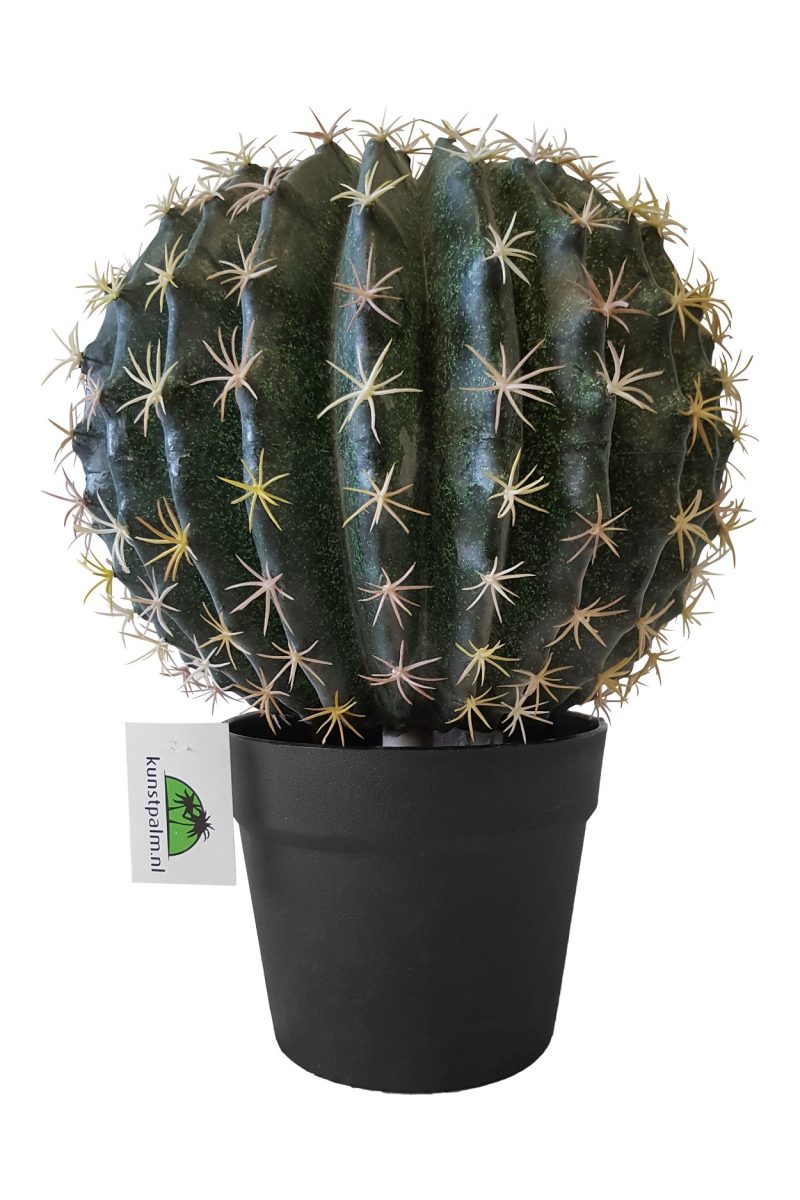 Kunst Cactusbol met Pot 35cm