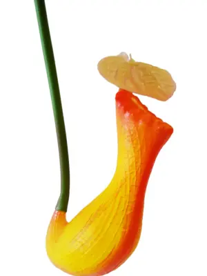 Kunst Vleesetende Planten Kelk Oranje-Geel 66cm