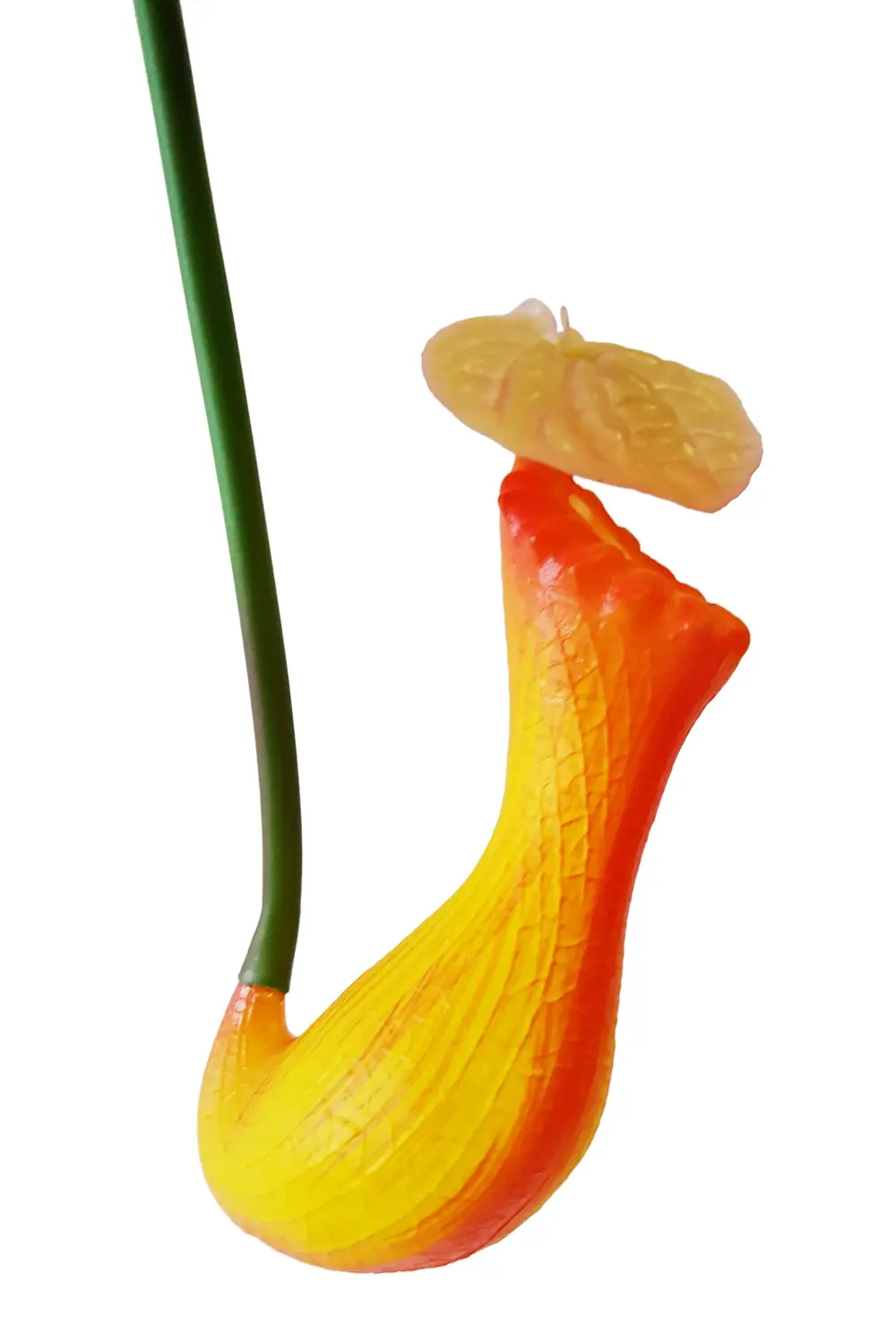 Kunst Vleesetende Planten Kelk Oranje-Geel 66cm