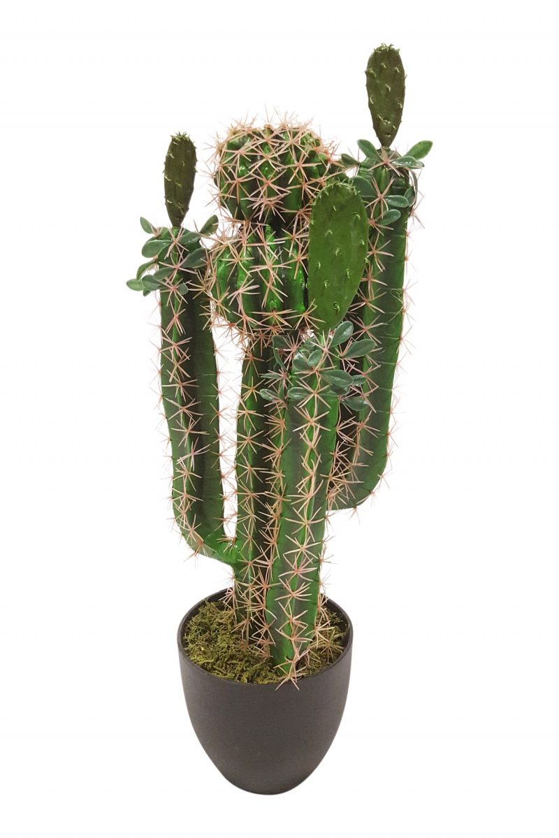 Kunst Cactus Kioto 70cm