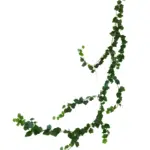 Slinger met Druivenbladeren voor Buitengebruik 200cm