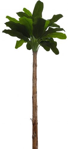 Grote Namaak Bananenboom 410cm