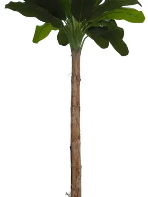 Grote Namaak Bananenboom 410cm