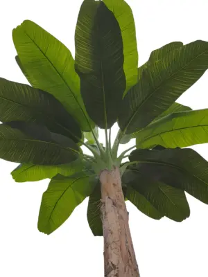 Grote Namaak Bananenboom 410cm