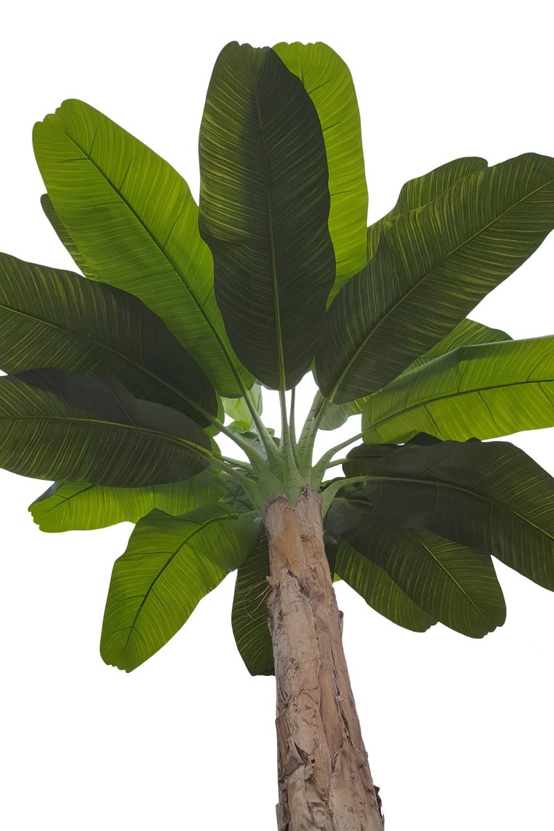 Grote Namaak Bananenboom 410cm