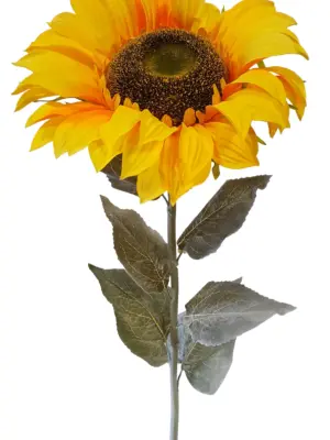 Kunst Zonnebloem XL 138cm