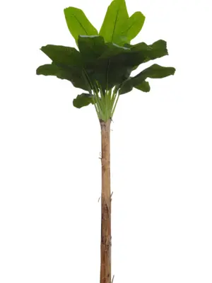 Namaak Bananenboom Middelgroot 340cm
