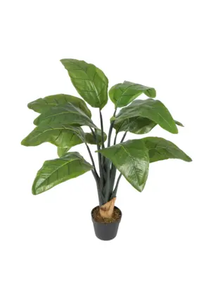 Kleine Kunst Banaanplant Basjoo 100cm