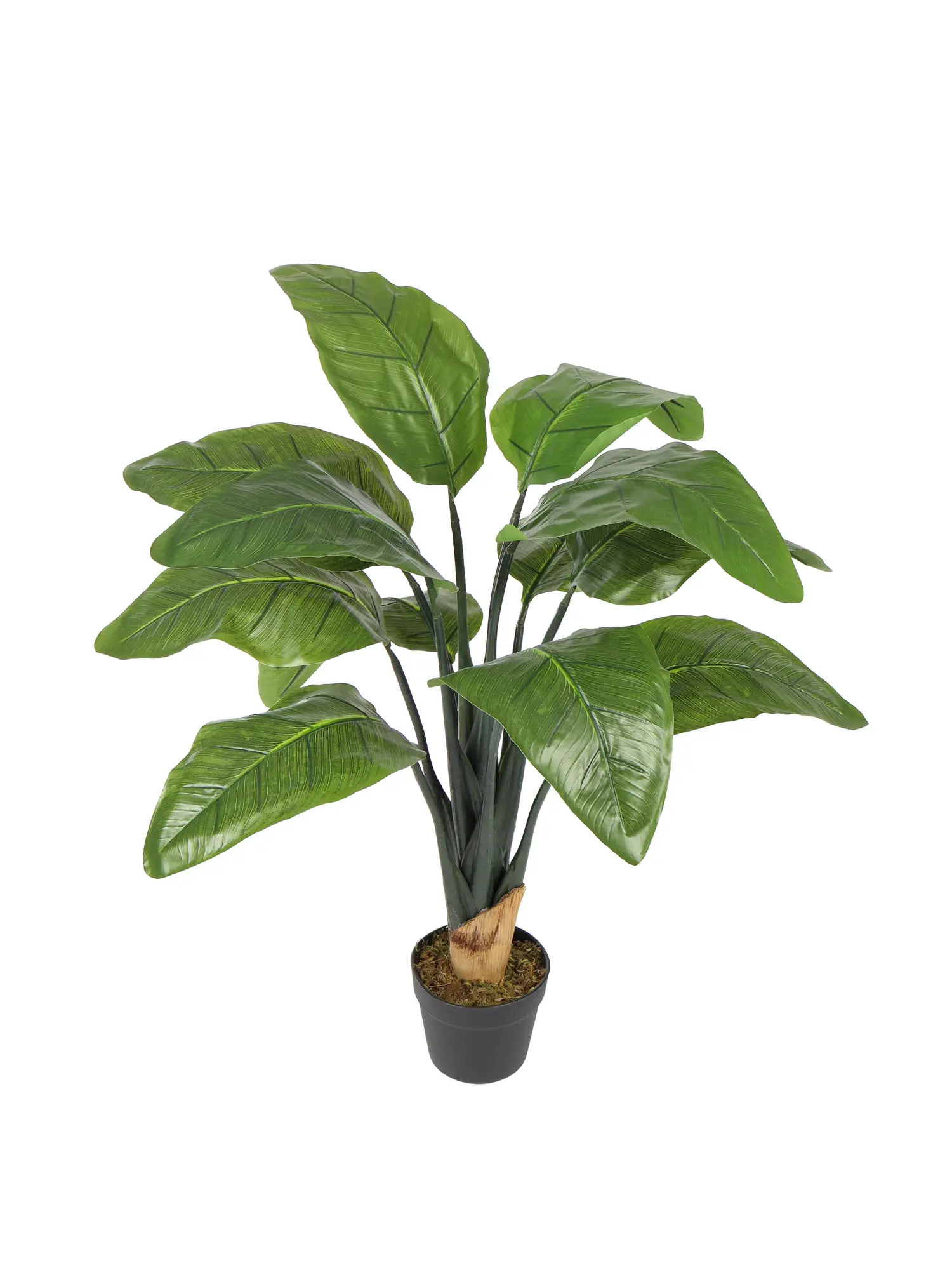 Kleine Kunst Banaanplant Basjoo 100cm