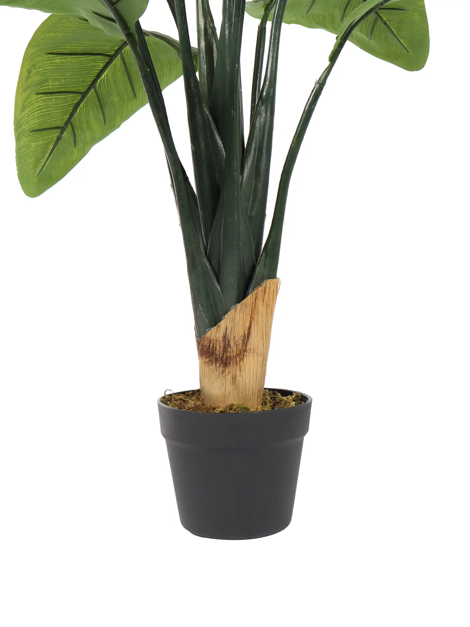 Kleine Kunst Banaanplant Basjoo 100cm