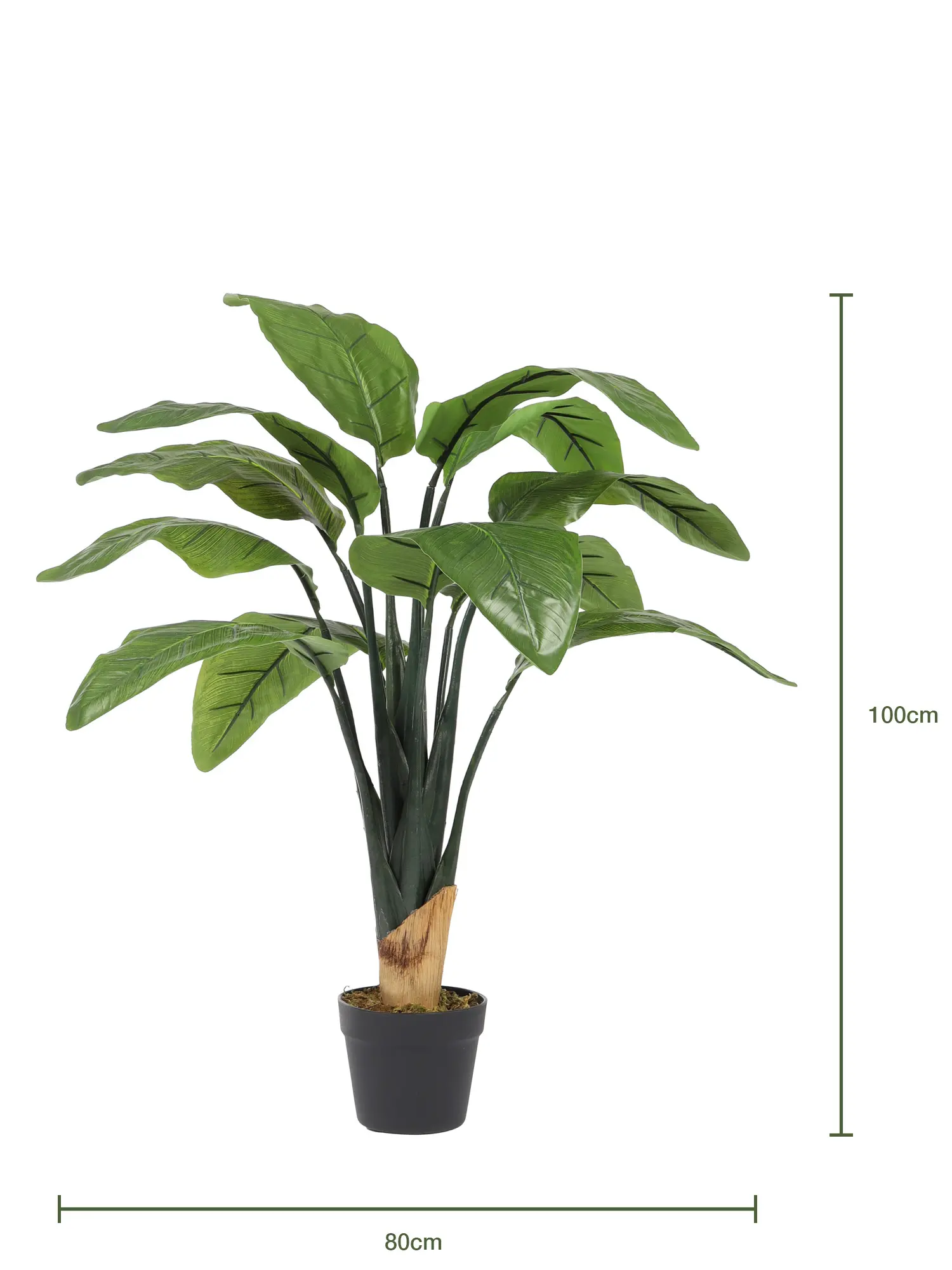 Kleine Kunst Banaanplant Basjoo 100cm