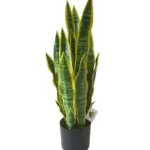 Kunst Sanseveria 68cm