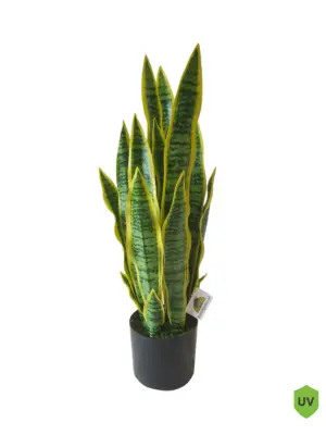 Kunst Sanseveria 68cm