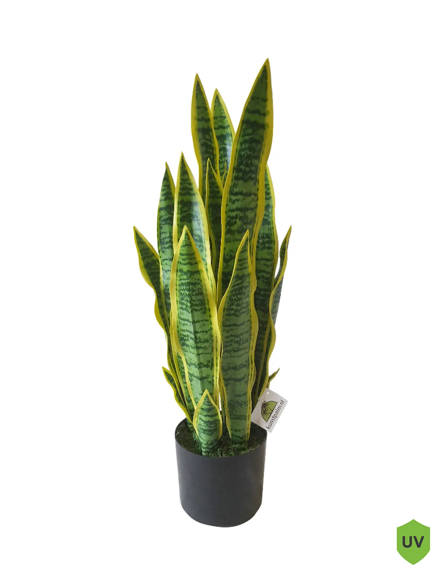 Kunst Sanseveria 68cm
