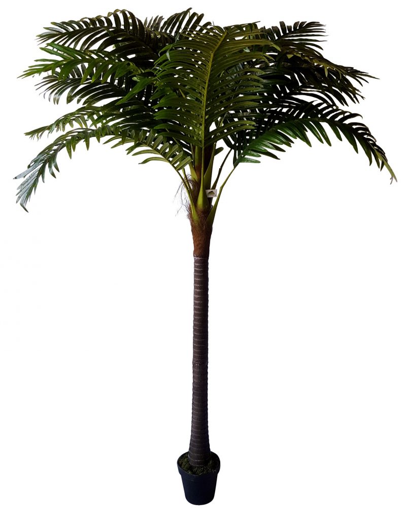 Grote Kunst Kokospalm Havana 260cm