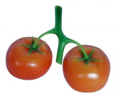 Imitatie Tomaten Set