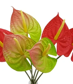 Grote Rode Kunst Anthurium op Steel 67cm