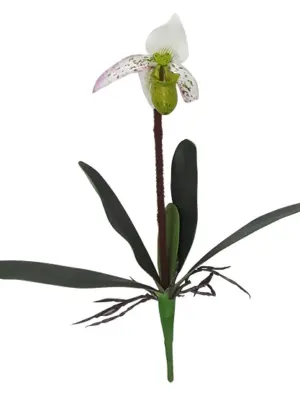 Kelk Orchidee Wit 40cm