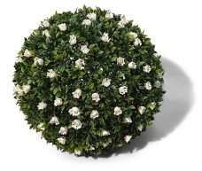 Kunst Buxus Bol Met Witte Bloemen 42cm