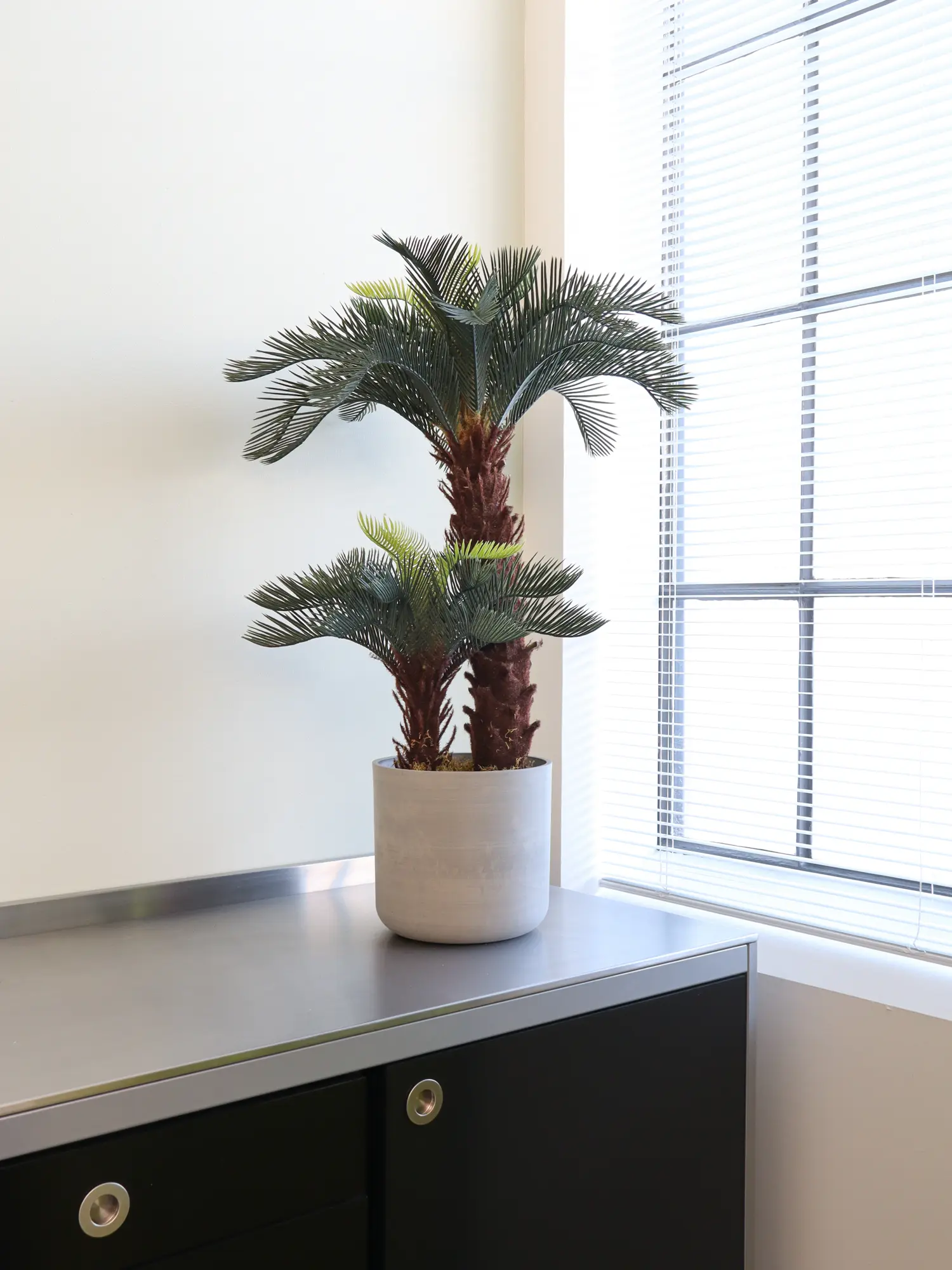 Kunst Cycaspalm Lombok 90cm van Kunstpalm.nl