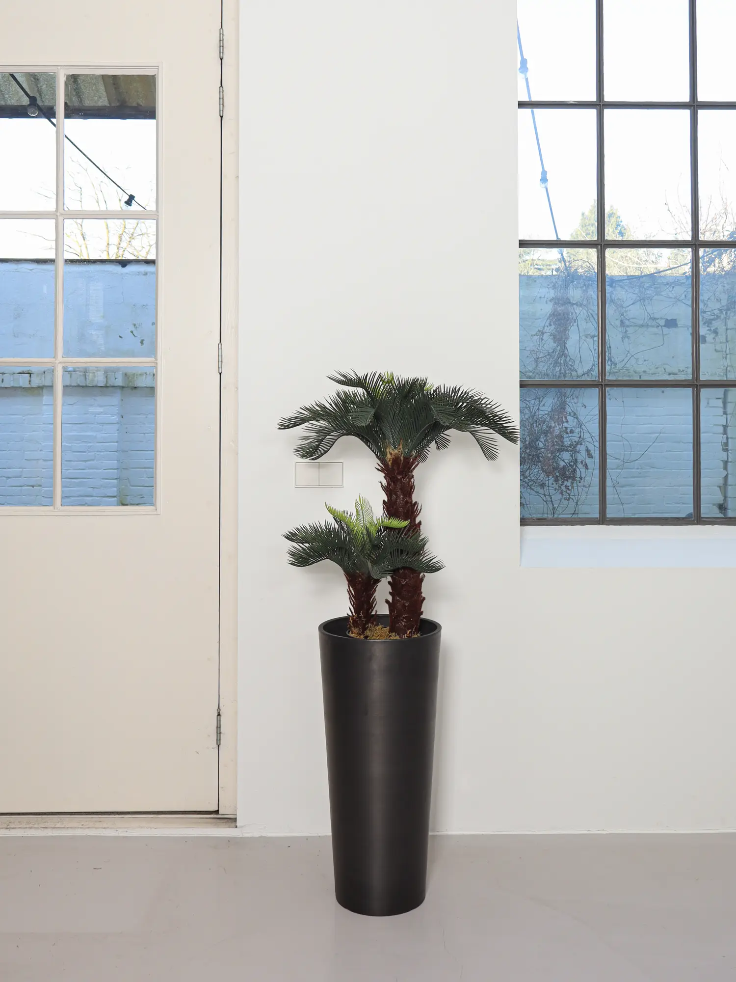 Kunstpalmboom Cycas met twee stammen van Kunstpalm.nl