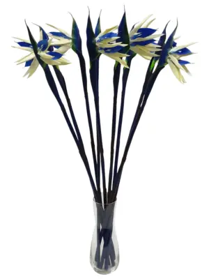 Blauwe Paradijsvogelbloem 80cm
