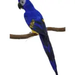 Grote Decoratieve Papegaai Geel Blauw 60cm