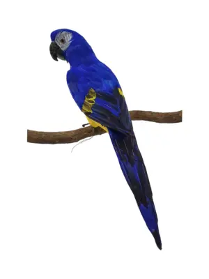Grote Decoratieve Papegaai Geel Blauw 60cm