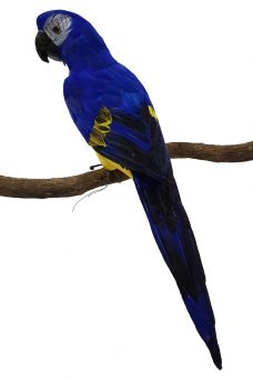 Grote Decoratieve Papegaai Geel Blauw 60cm