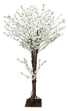 Grote Japanse Kunst Bloesemboom Wit 260cm