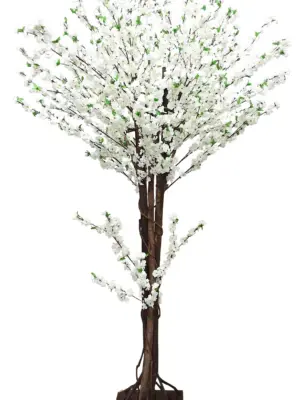 Grote Japanse Kunst Bloesemboom Wit 260cm