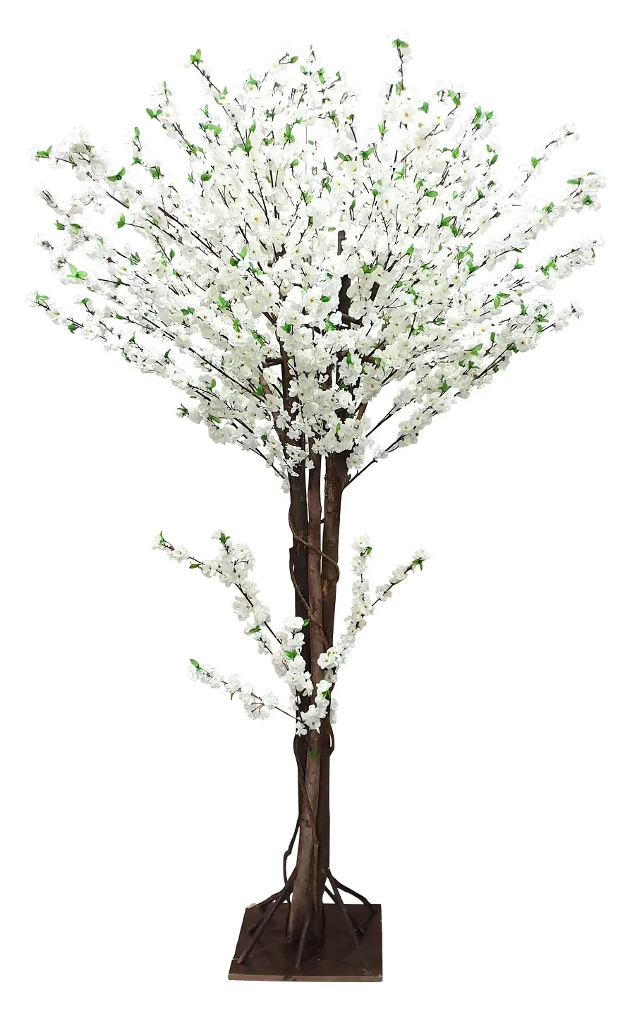 Grote Japanse Kunst Bloesemboom Wit 260cm